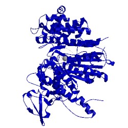 Image of CATH 2x9h