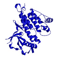 Image of CATH 2xba