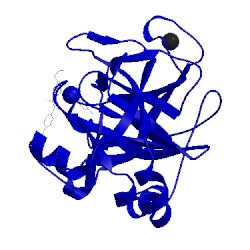 Image of CATH 2xbv