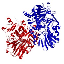 Image of CATH 2xcg