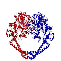 Image of CATH 2xcs