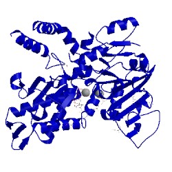 Image of CATH 2xcw