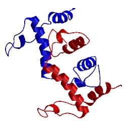 Image of CATH 2xdi