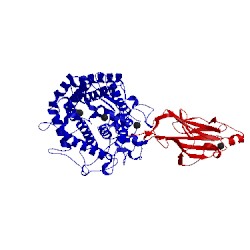 Image of CATH 2xfg