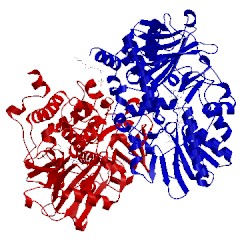 Image of CATH 2xfq