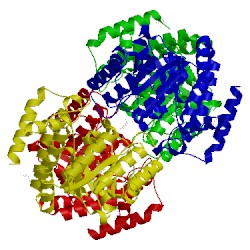 Image of CATH 2xfw