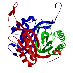 Image of CATH 2xg8