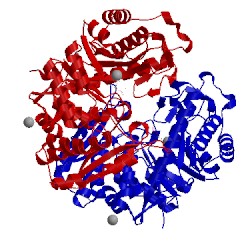 Image of CATH 2xgz