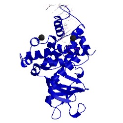 Image of CATH 2xhi