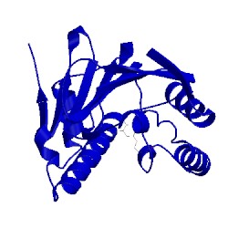 Image of CATH 2xhr