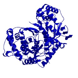 Image of CATH 2xhw