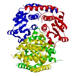 Image of CATH 2xhz