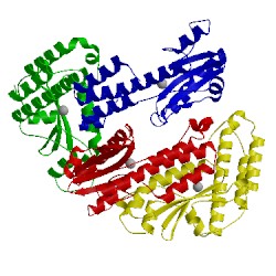 Image of CATH 2xi5