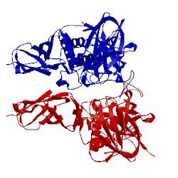 Image of CATH 2xid