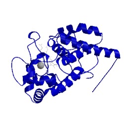 Image of CATH 2xif