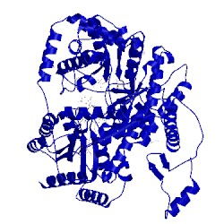 Image of CATH 2xij