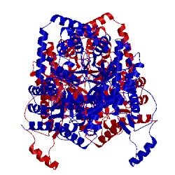 Image of CATH 2xiq