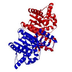 Image of CATH 2xit