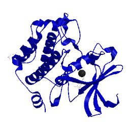 Image of CATH 2xiy