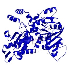 Image of CATH 2xjc