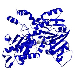 Image of CATH 2xje