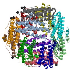 Image of CATH 2xjm