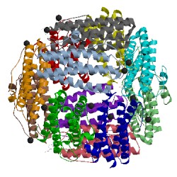 Image of CATH 2xjn