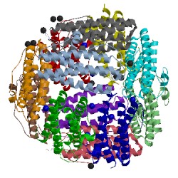 Image of CATH 2xjo