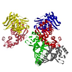Image of CATH 2xkp