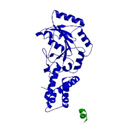 Image of CATH 2xkv