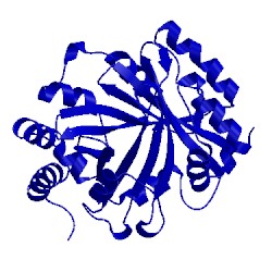 Image of CATH 2xly