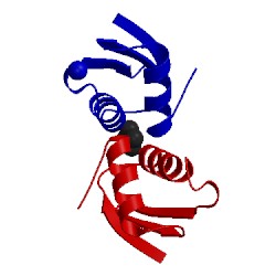 Image of CATH 2xmk