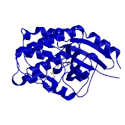 Image of CATH 2xmy