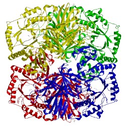 Image of CATH 2xn1
