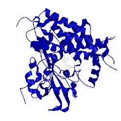 Image of CATH 2xn8