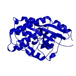 Image of CATH 2xnb