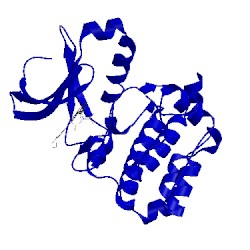 Image of CATH 2xng