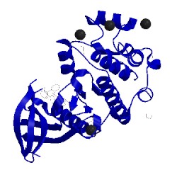 Image of CATH 2xnp