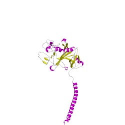 Image of CATH 2xnxC