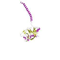 Image of CATH 2xnxL