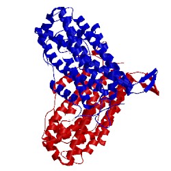 Image of CATH 2xof