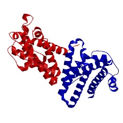 Image of CATH 2xol