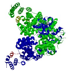 Image of CATH 2xpi