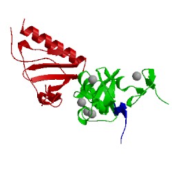 Image of CATH 2xqn