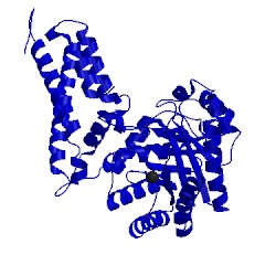 Image of CATH 2xsb