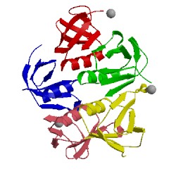 Image of CATH 2xsc