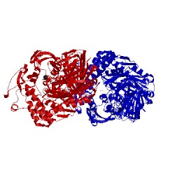 Image of CATH 2xsg