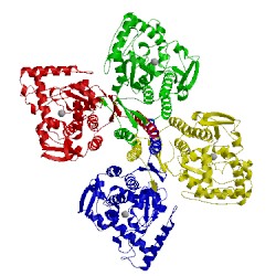 Image of CATH 2xsn