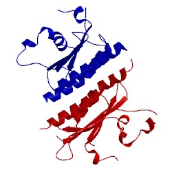 Image of CATH 2xss