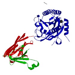 Image of CATH 2xtj